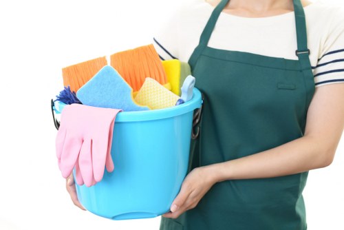 Professional move in cleaning for a SW5 flat kitchen before unpacking