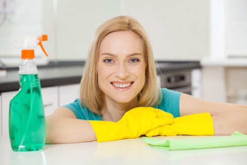 Thorough deep cleaning service for homes and businesses in SW5