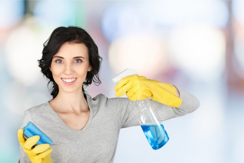 Final review of a resolved carpet cleaning complaint with documentation