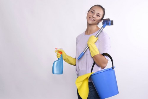 Upholstery stain treatment in a South Kensington property