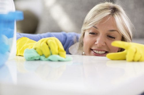 Professional carpet care service for homes and businesses in SW5