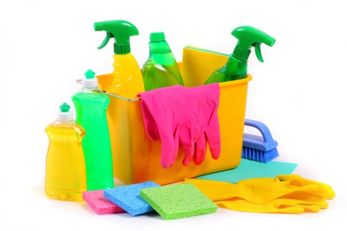 Deep cleaning and stain treatment for rugs in SW5